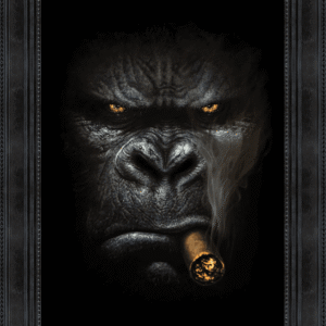 Image 40x60 encadrée