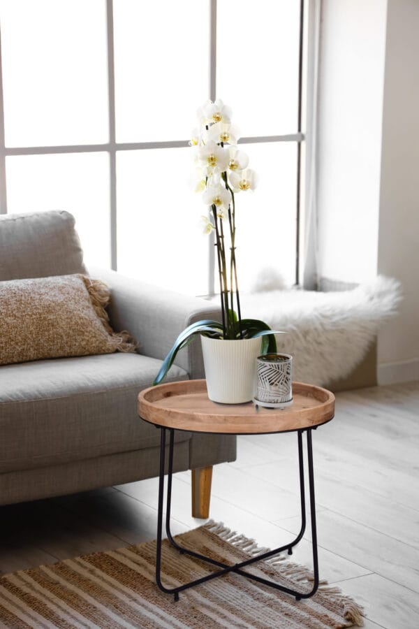 Table d'appoint métal noir et bois 52x48 cm – Image 2