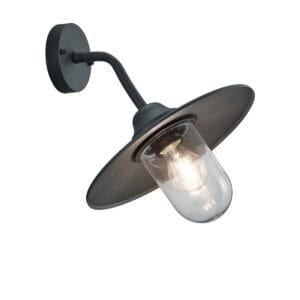 Applique extérieure anthracite verre clair