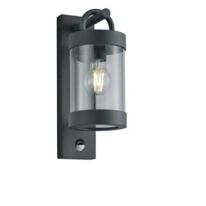 Applique extérieure à détection anthracite diffuseur clair