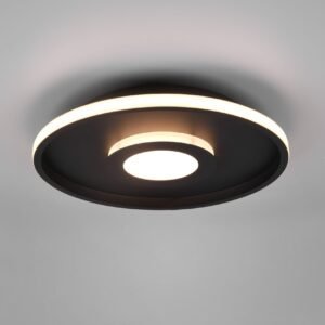 Plafonnier de salle de bain LED métal noir