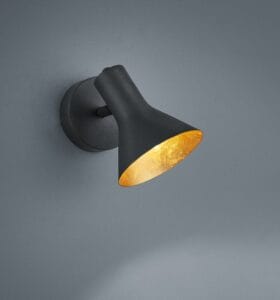 Spot noir/feuille Or