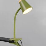 Lampe de bureau LED à pince verte/bois clair