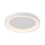 Plafonnier LED métal blanc